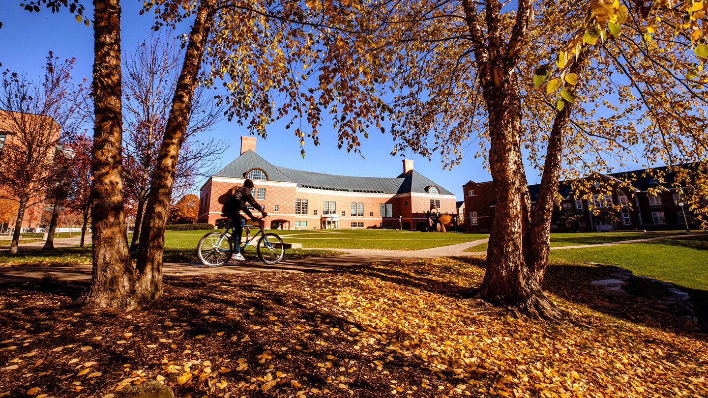 Why I Chose UIUC